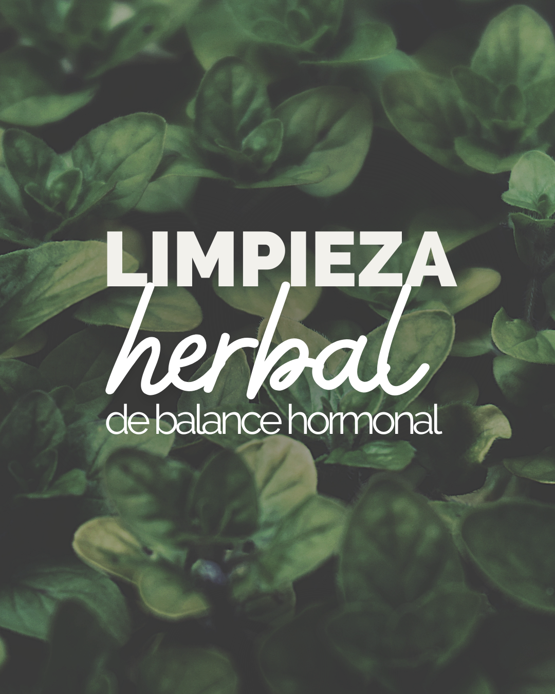 DETOX de Balance Hormonal